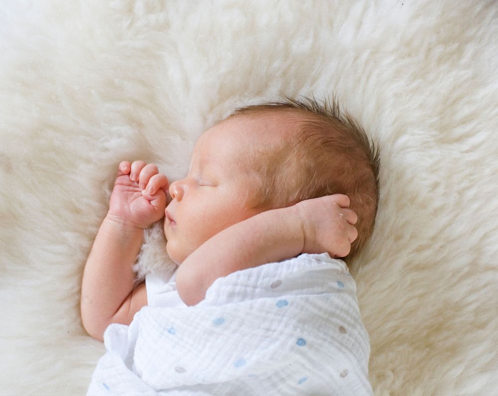 Jacqueline Mia Foster Photography