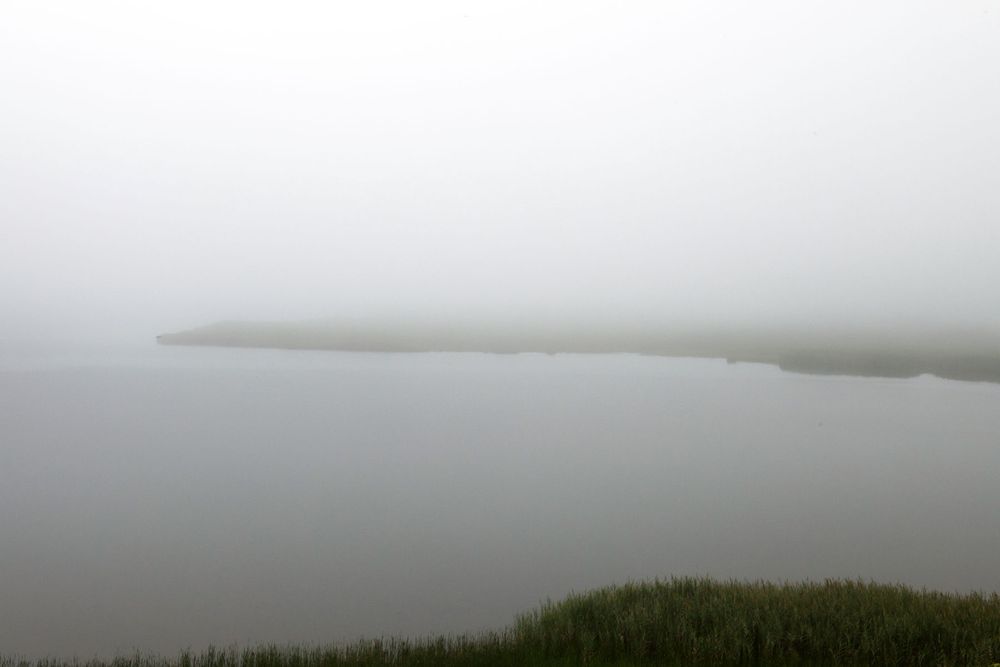 Jacqueline Mia Foster Photography