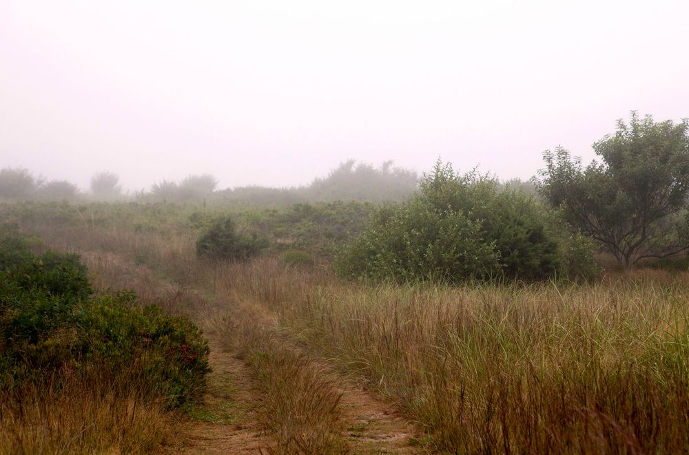 Jacqueline Mia Foster Photography