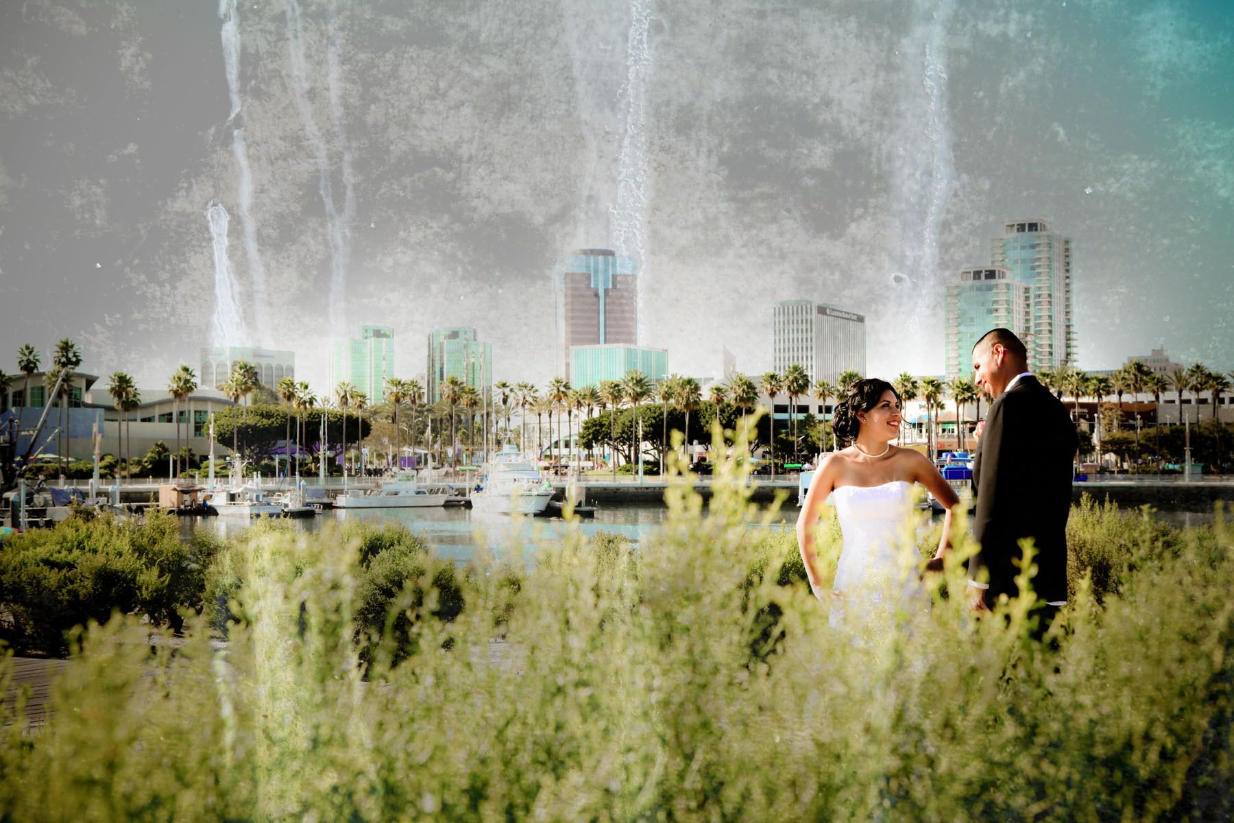 1swp_c_m_wd_selects_29b