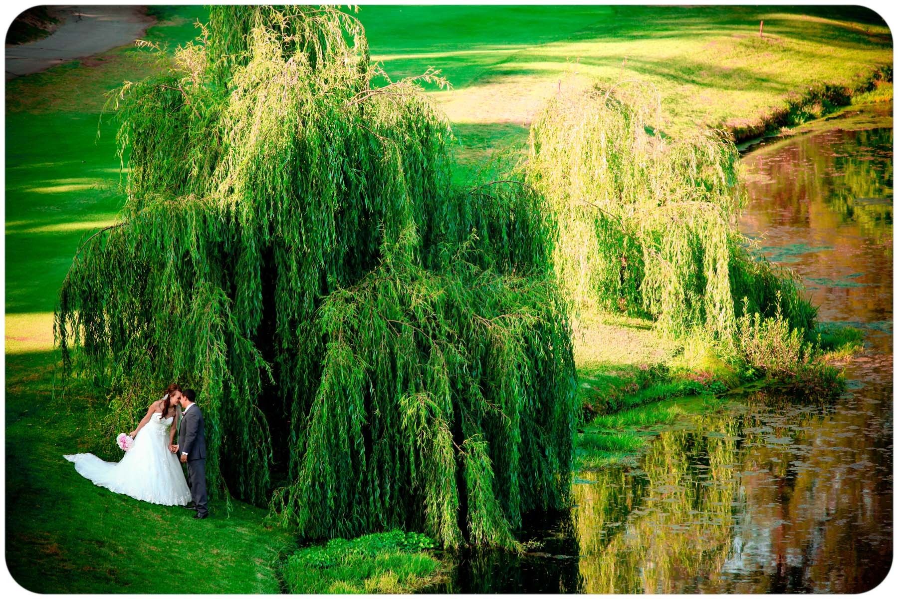 1web_j_a_wd_selects_19