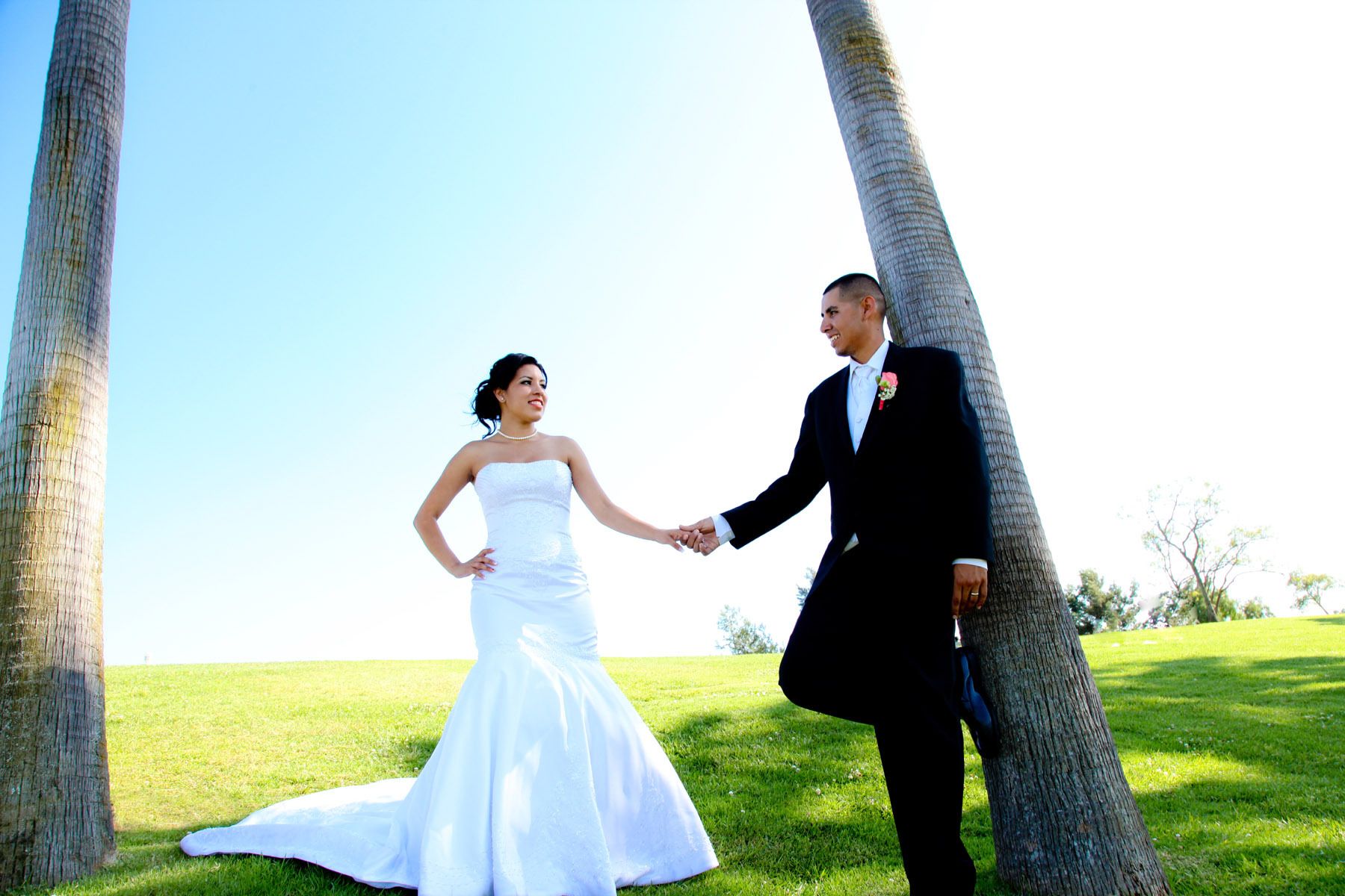 1swp_c_m_wd_selects_24