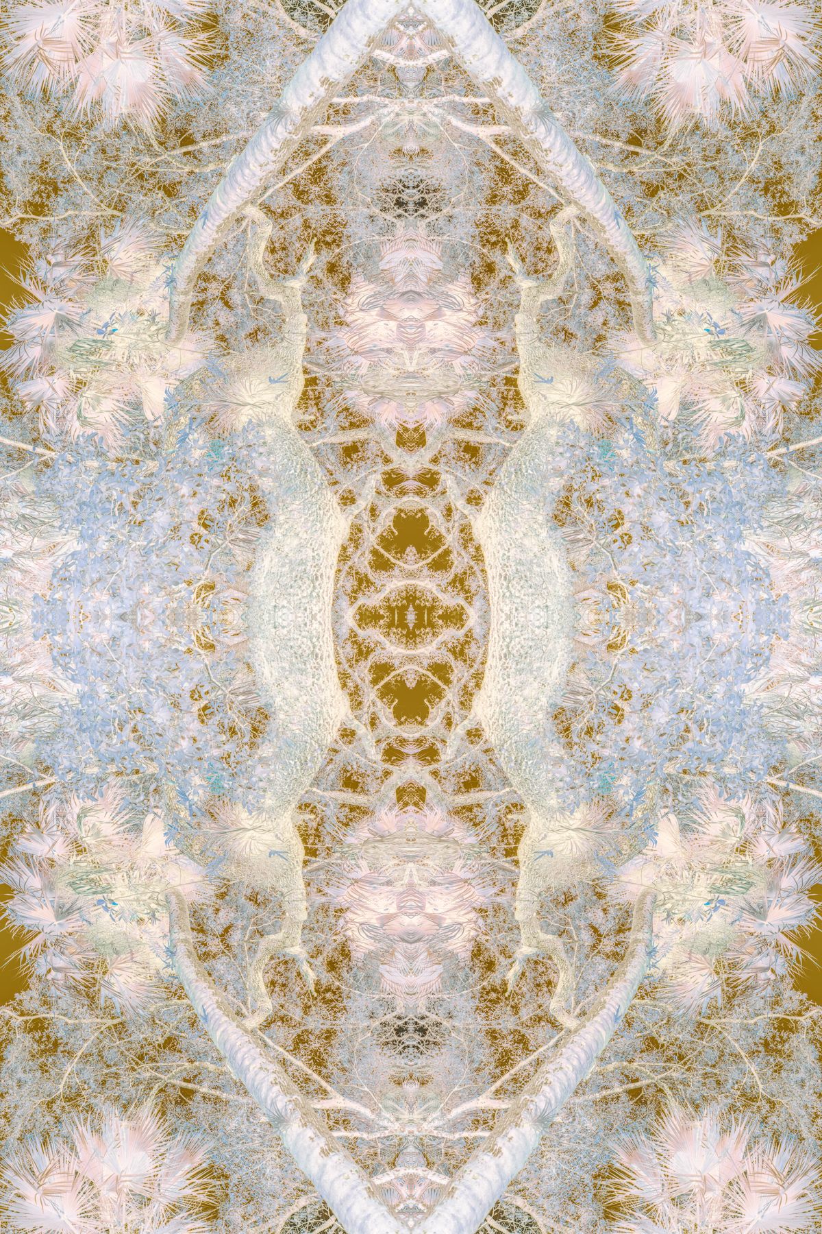 Christin-Paige-Minnotte_UNBREAKING SYMMETRY_How-The-Sun-Hears-The-Oaks-Song_Copyright-2026.jpg