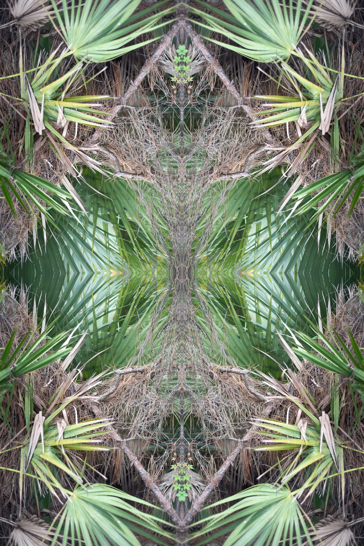 Christin-Paige-Minnotte_UNBREAKING SYMMETRY_From-One-Comes-All_Copyright-2026.jpg