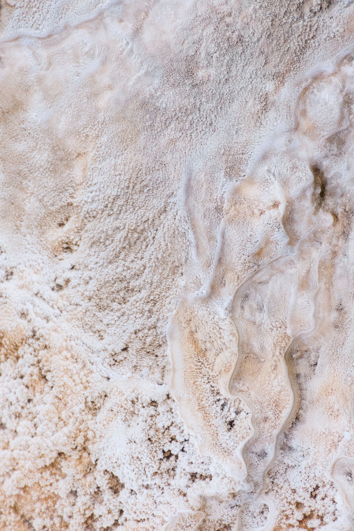 160623 VOTW Christin Paige Minnotte-4783.jpg