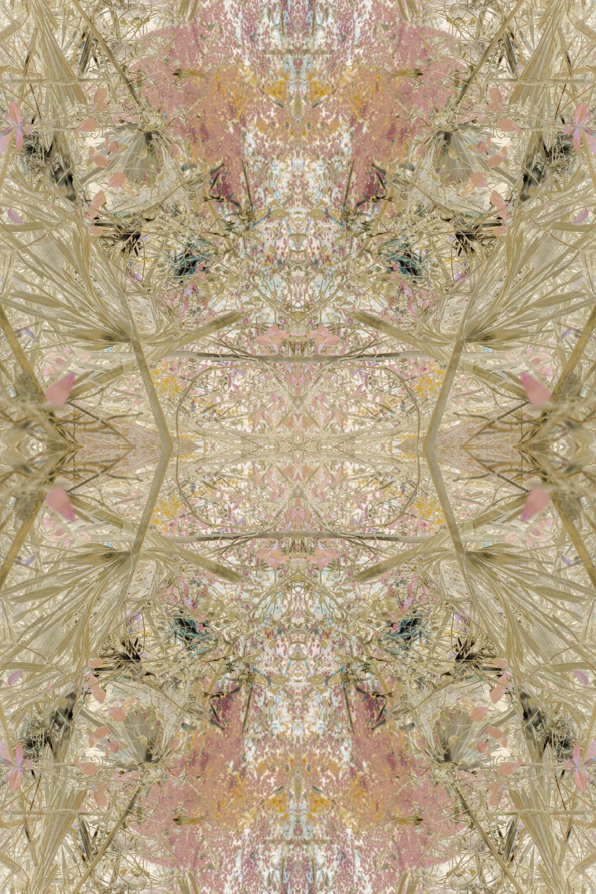 Christin Paige Minnotte_UNBREAKING-SYMMETRY_Copyright-2026_-2.jpg