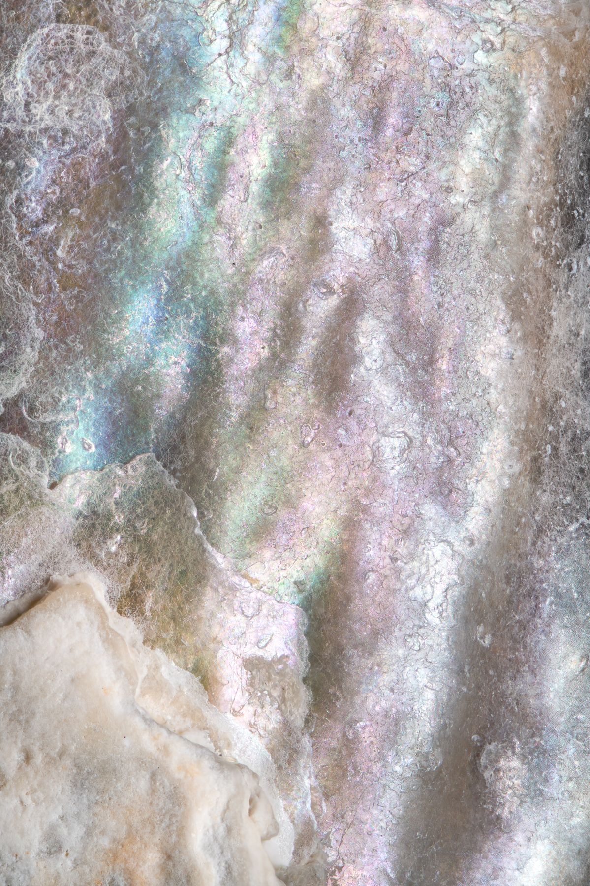 Iridescent Ocean Christin Paige Minnotte_NACRE-MER_macro-photography_Iridescent-Ocean-2a.jpg