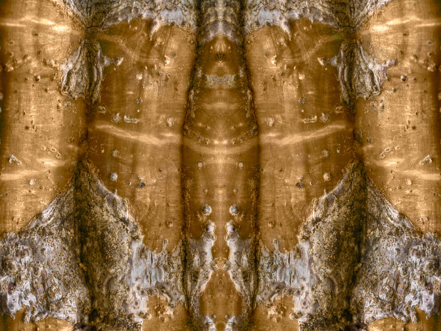 ©Christin Paige Minnotte 200612 silk floss 11-3.jpg