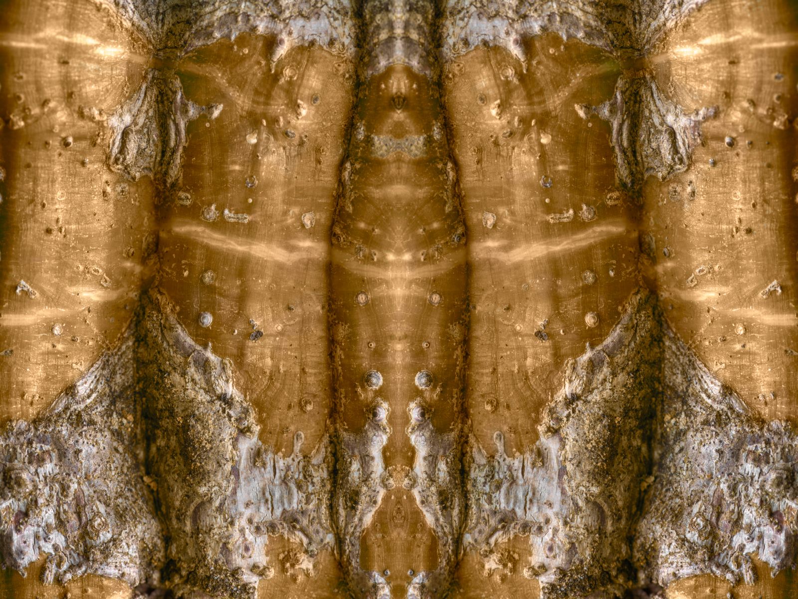 ©Christin Paige Minnotte 200612 silk floss 11-3.jpg