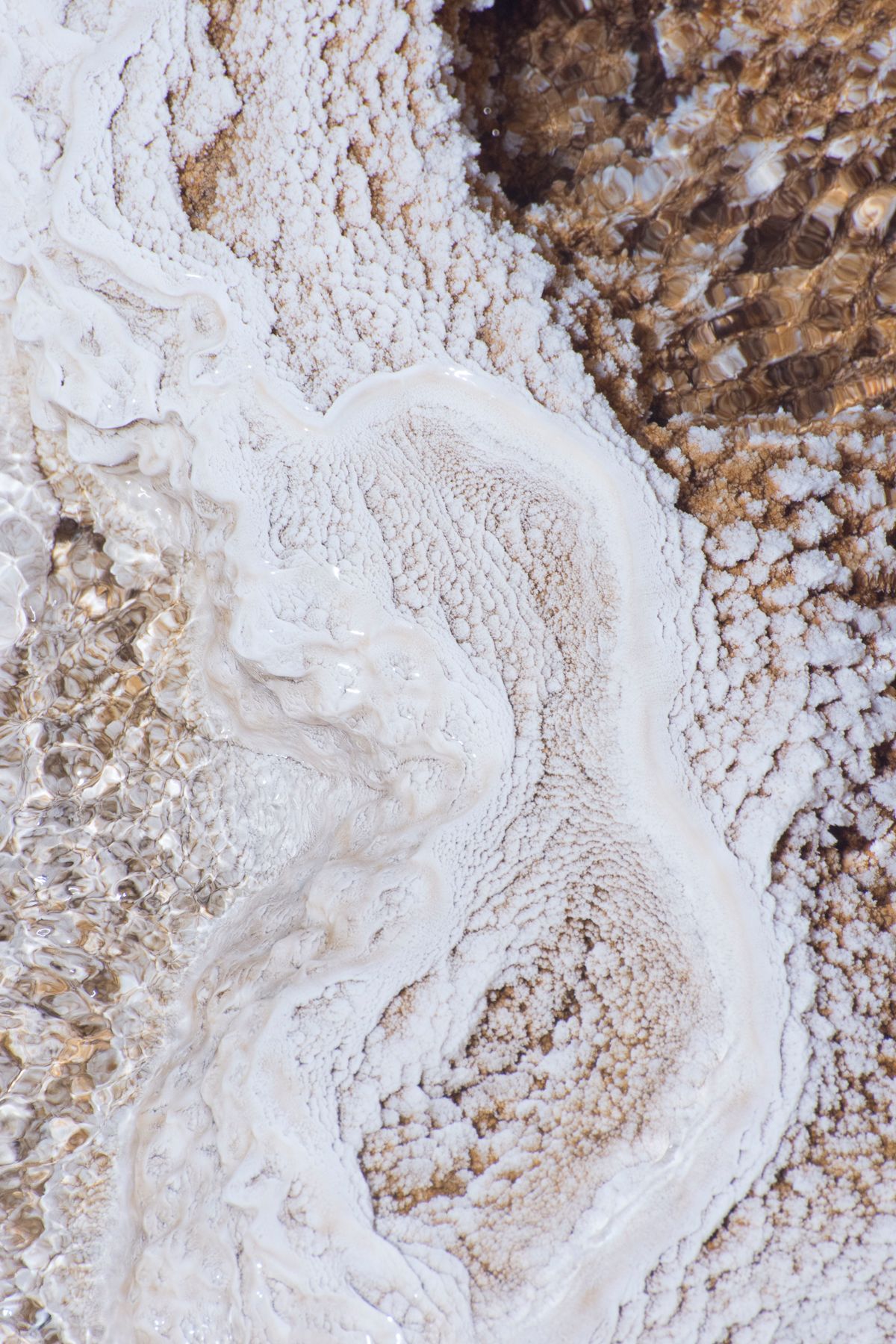 160623 VOTW Christin Paige Minnotte-4753.jpg