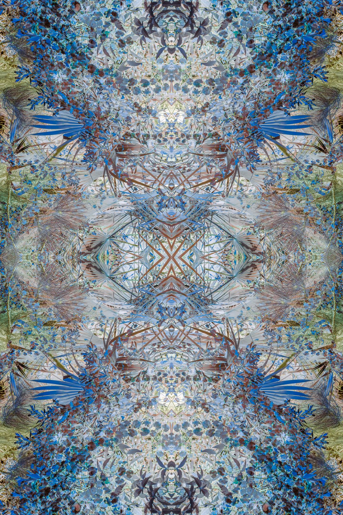 Christin-Paige-Minnotte_UNBREAKING SYMMETRY_Prussian-Peregrine_Copyright-2026.jpg