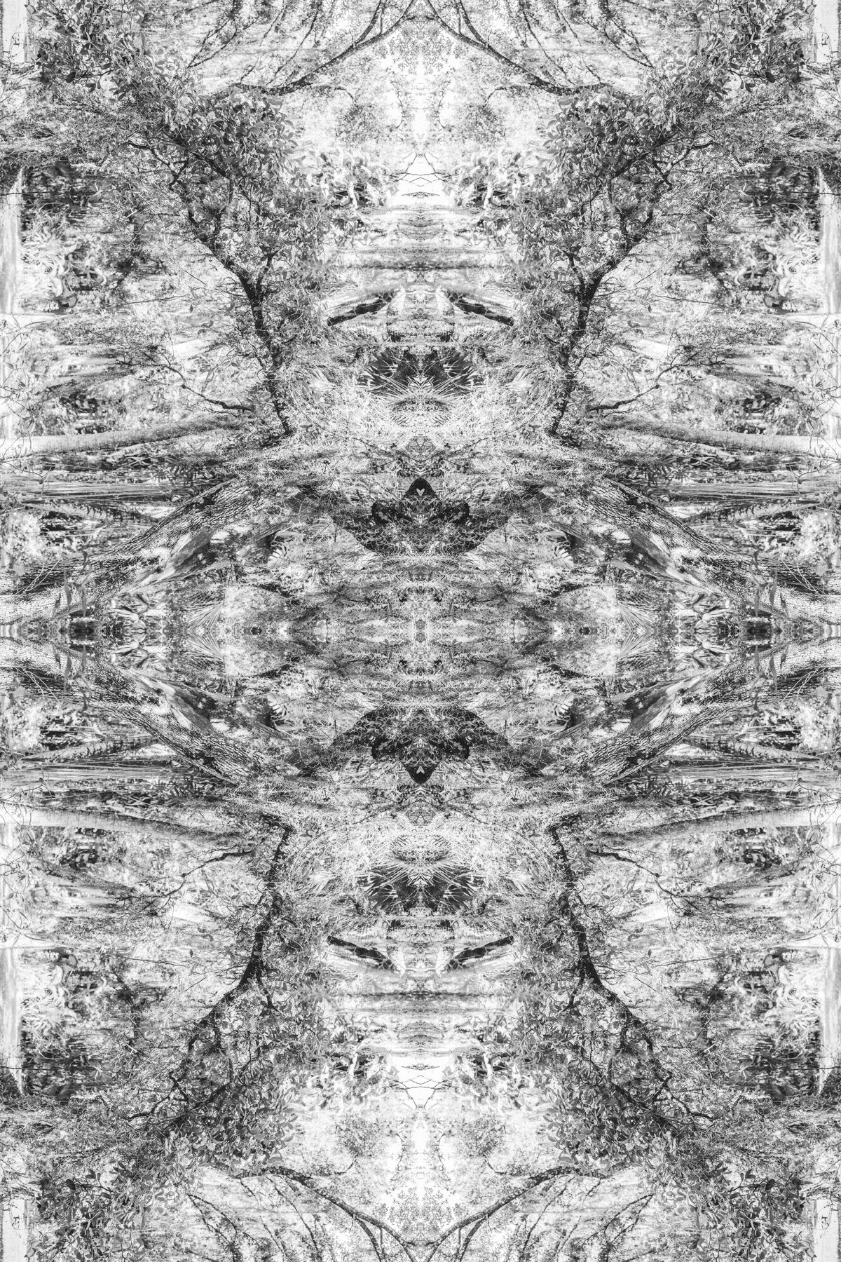 Christin-Paige-Minnotte_UNBREAKING SYMMETRY_Mossfall-In-Oaken-Cradle_Copyright-2026.jpg