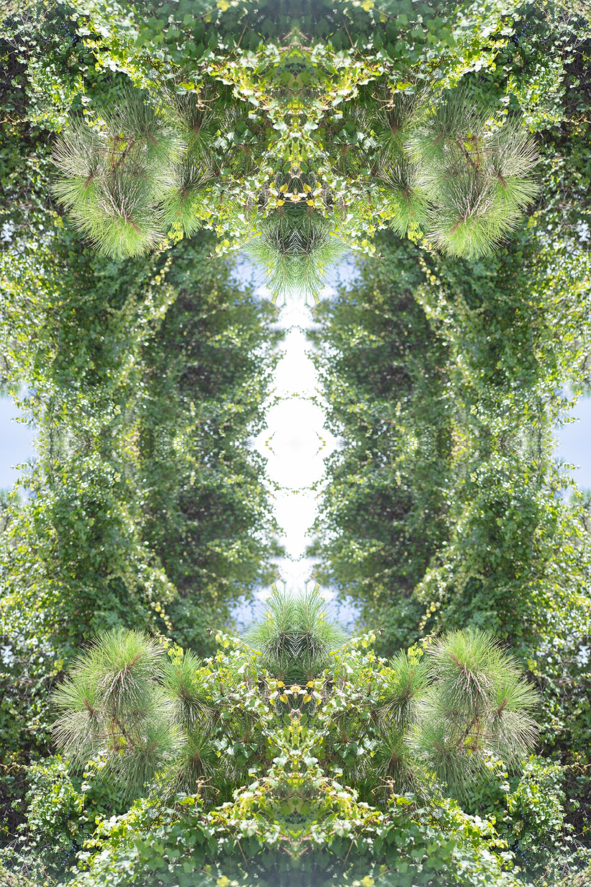 Christin Paige Minnotte_UNBREAKING-SYMMETRY_Copyright-2026_-13.jpg