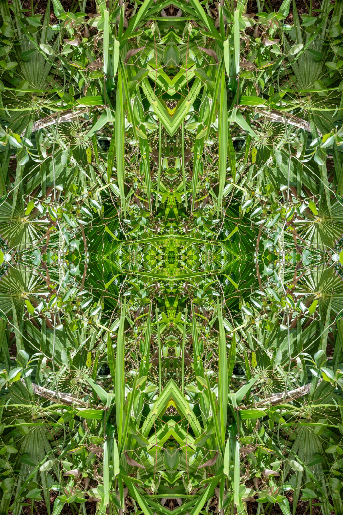 Christin-Paige-Minnotte_UNBREAKING SYMMETRY_Future-Launchpad_Copyright-2026.jpg