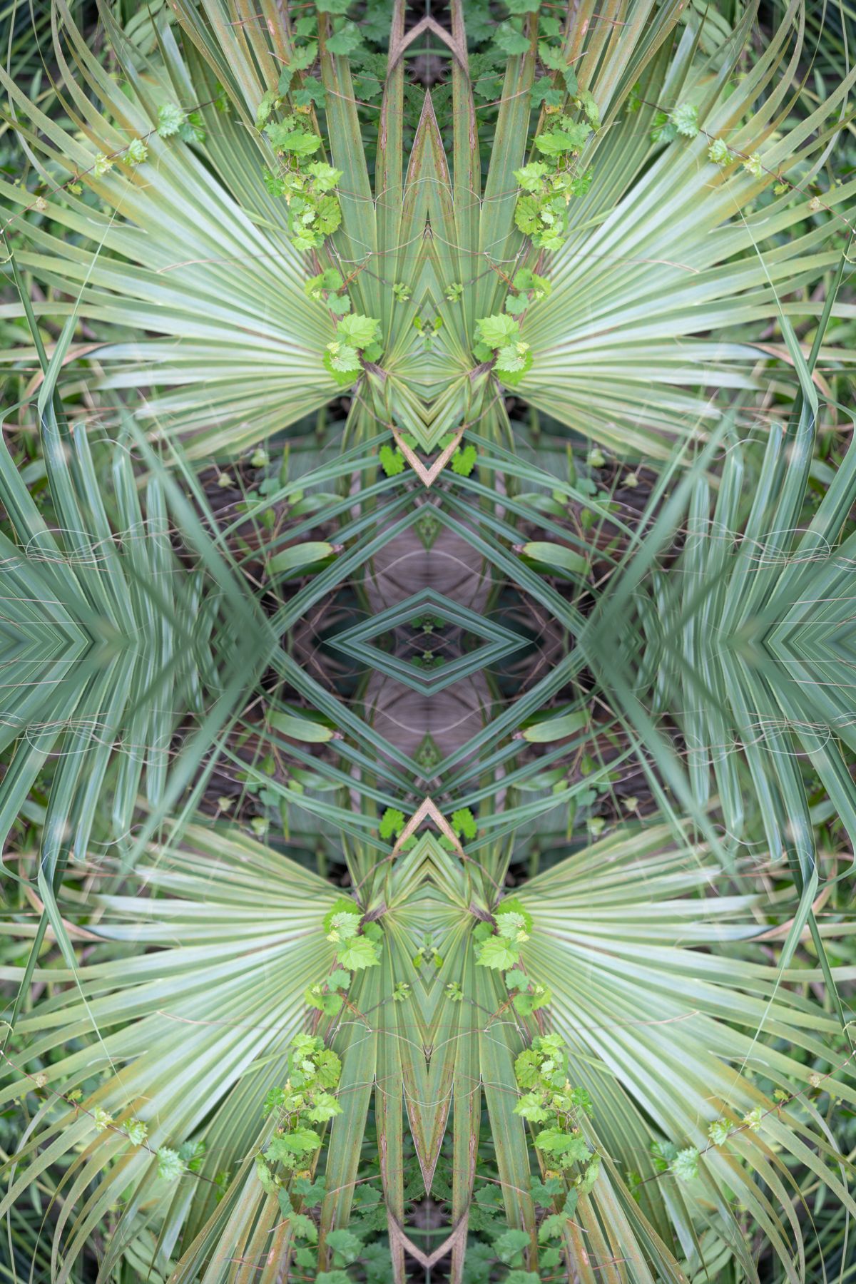 Christin-Paige-Minnotte_UNBREAKING SYMMETRY_Oval-Cradles-Triangle-For-Heaven-Is-Soft_Copyright-2026.jpg