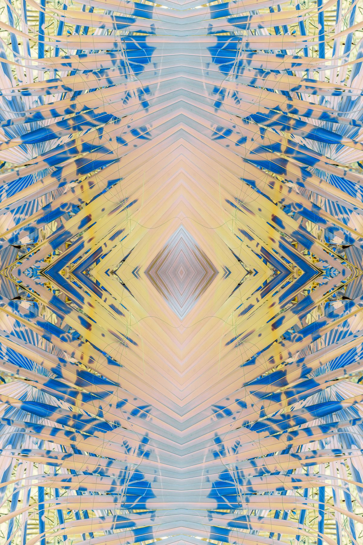 Christin-Paige-Minnotte_UNBREAKING SYMMETRY_The-Heart-Of-A-Palm-Is-A-Diamond_Copyright-2026.jpg