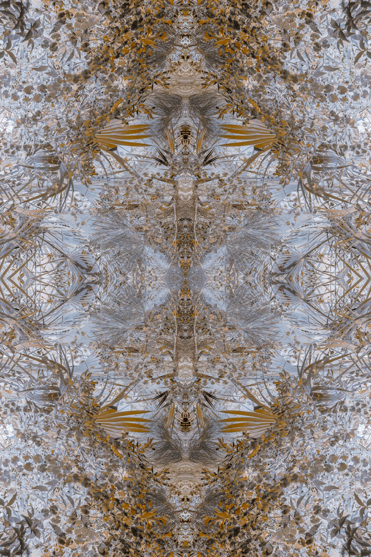 Christin-Paige-Minnotte_UNBREAKING SYMMETRY_A-Slash-Pine-Threads-an-Hourglass-Wherein-Time-is-Cylindrical_Copyright-2026.jpg