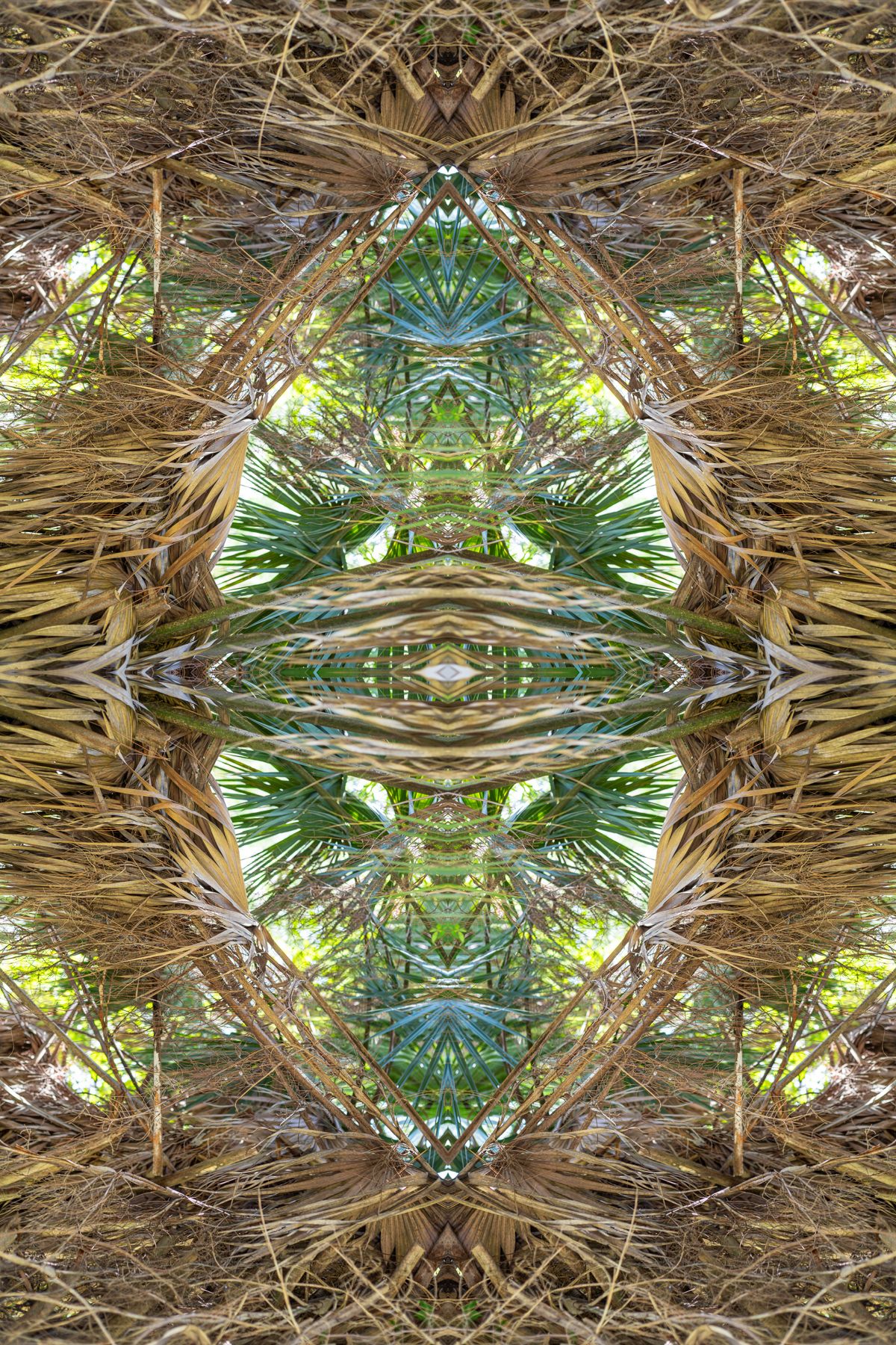 Christin Paige Minnotte_UNBREAKING-SYMMETRY_Copyright-2026_-14.jpg