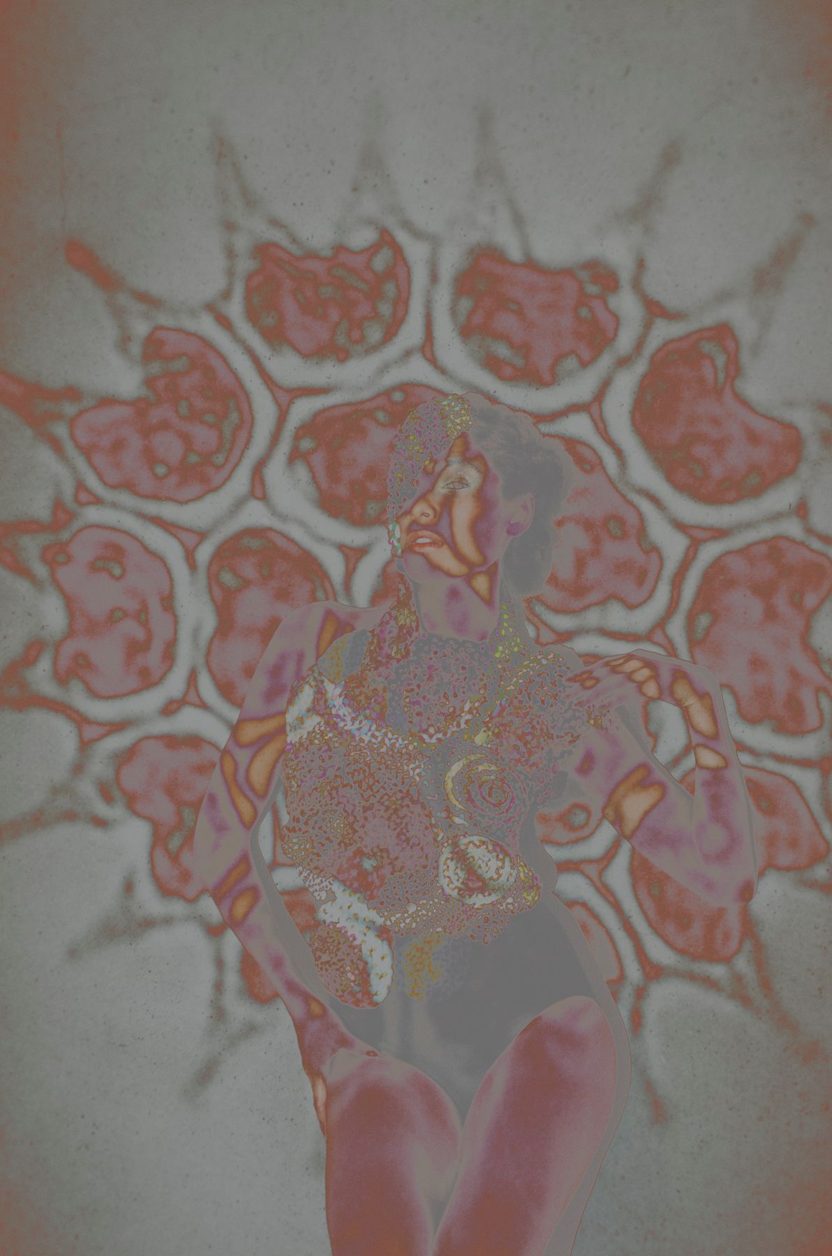 BIOLOGICAL SLIDES-7 Algae no 2 Christin Paige Minnotte.jpg