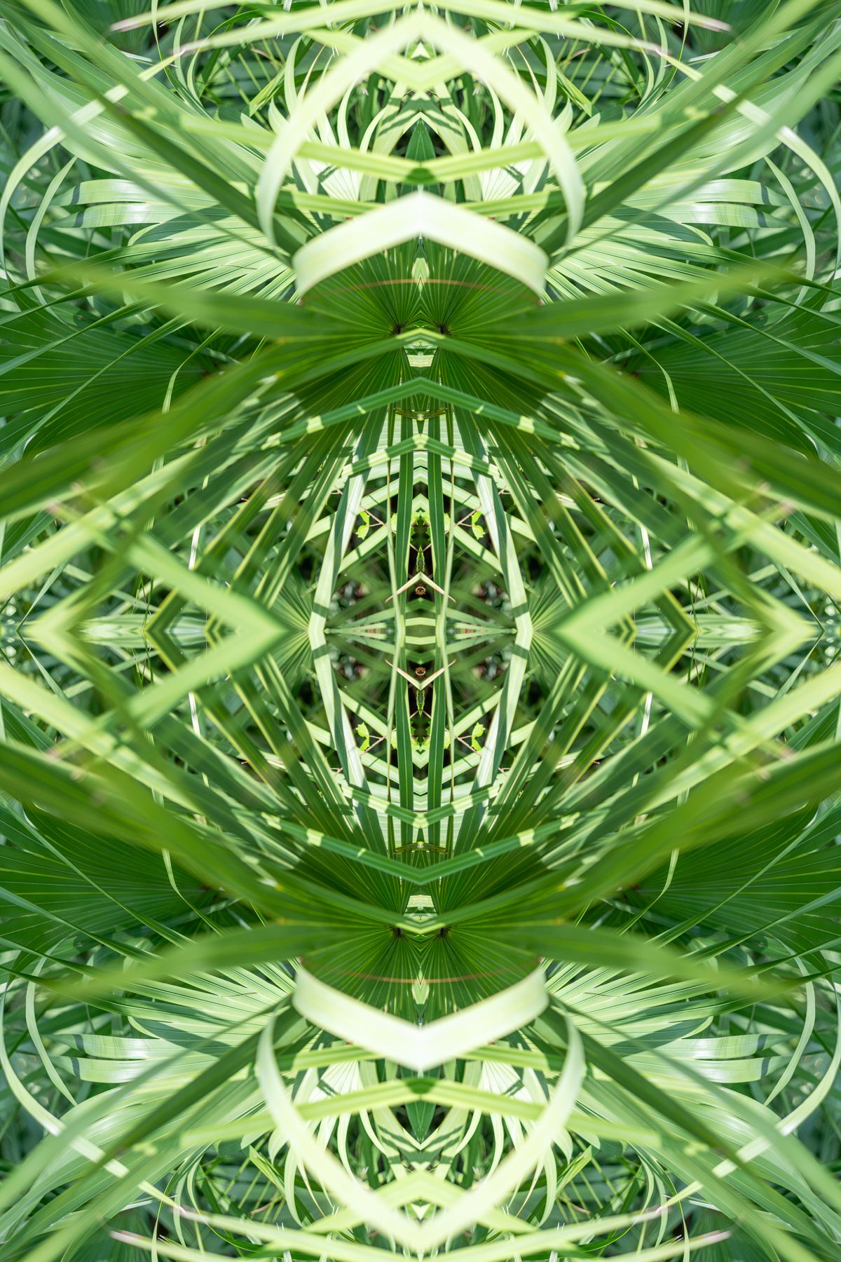 Christin Paige Minnotte_UNBREAKING-SYMMETRY_Copyright-2026_-15.jpg