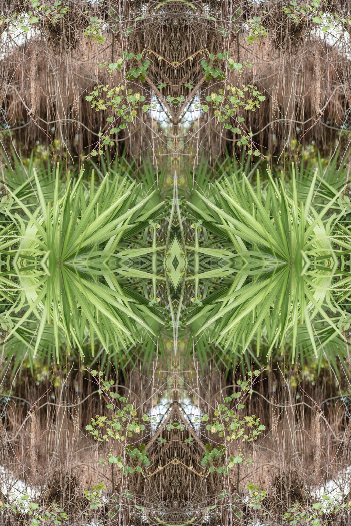 Christin-Paige-Minnotte_UNBREAKING SYMMETRY_Spheres-Are-Made-By-Triangles-In-Diamond-Mines_Copyright-2026.jpg