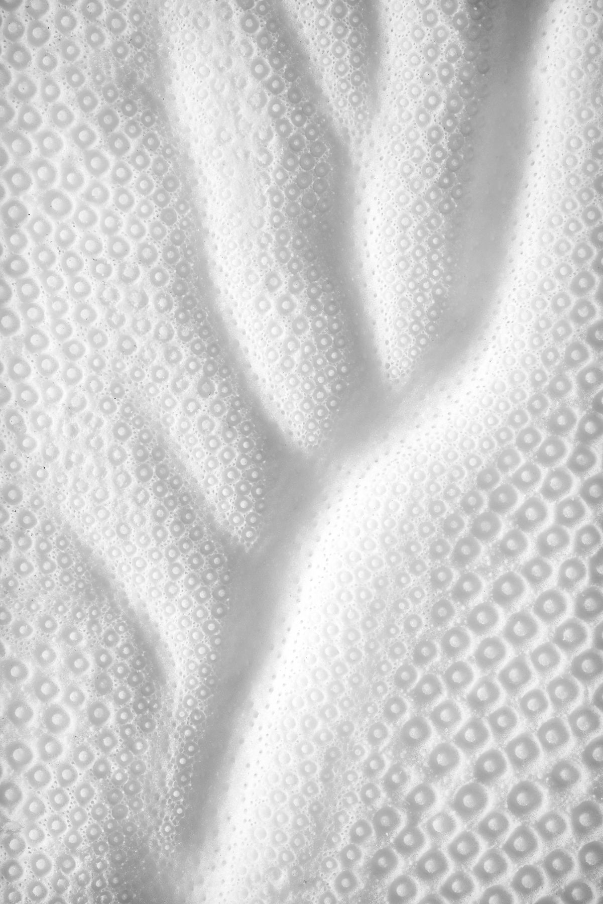 Soliloquy Of A Circle Christin Paige Minnotte_NACRE-MER_macro-photography_Soliloquy-Of-A-Circle.jpg