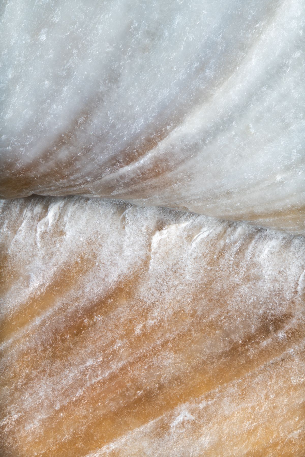 Still From The Birth Of Movement Christin Paige Minnotte_NACRE-MER_macro-photography_Still-From-The-Birth-Of-Movement.jpg