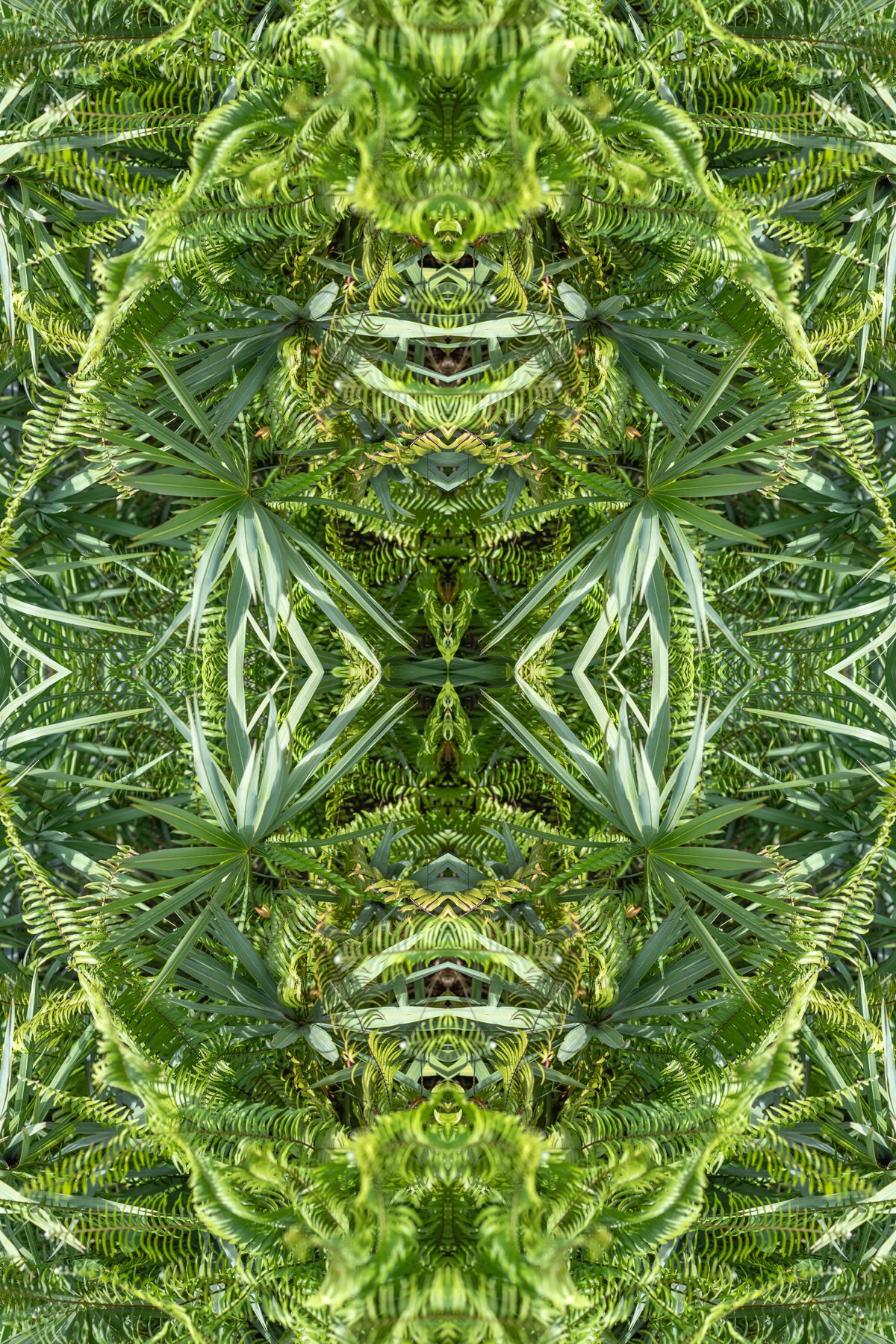 Christin Paige Minnotte_UNBREAKING-SYMMETRY_Copyright-2026_-9.jpg