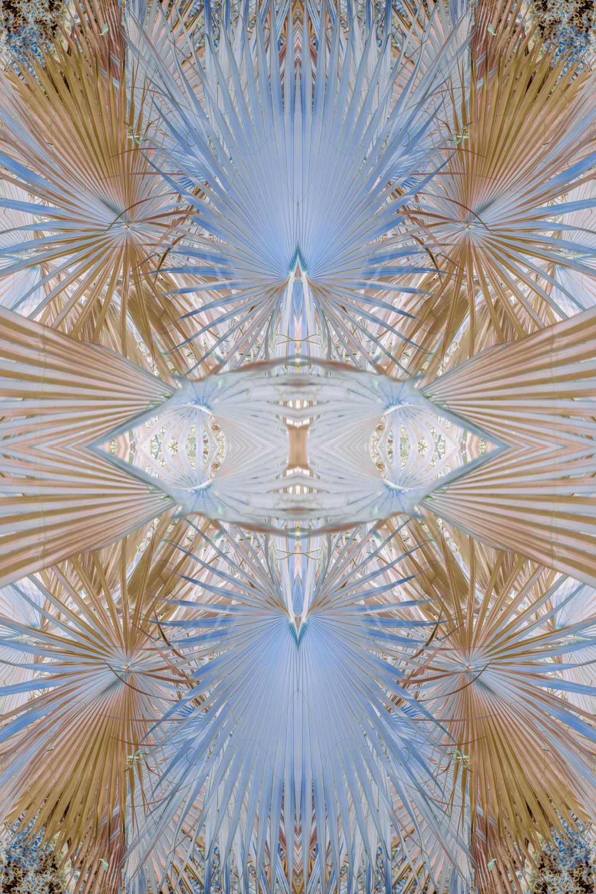 Christin-Paige-Minnotte_UNBREAKING SYMMETRY_Palm-Powder-Rocket_Copyright-2026.jpg