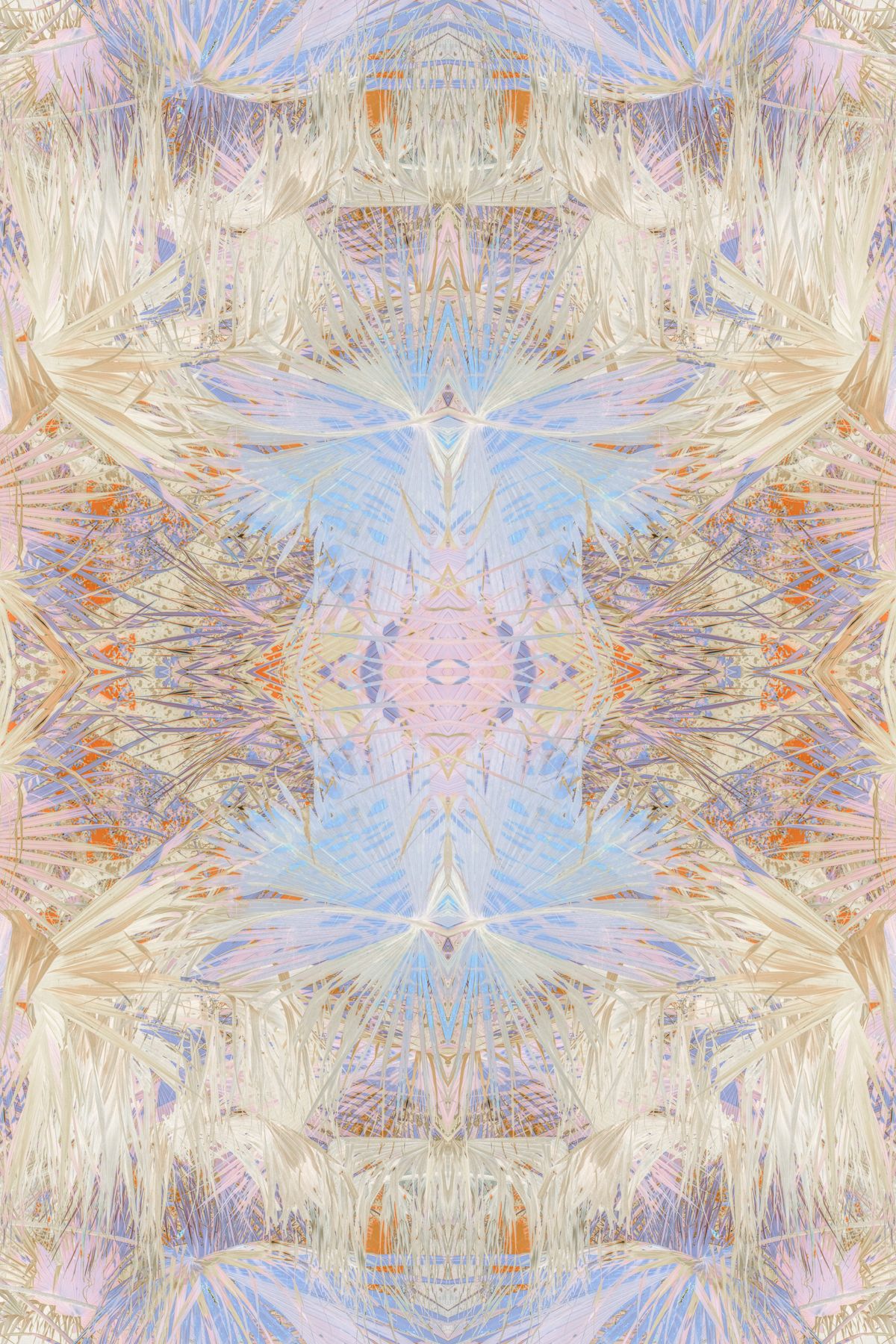 Christin-Paige-Minnotte_UNBREAKING SYMMETRY_The-Sun-Inside-an-Eagles-Mind_Copyright-2026.jpg