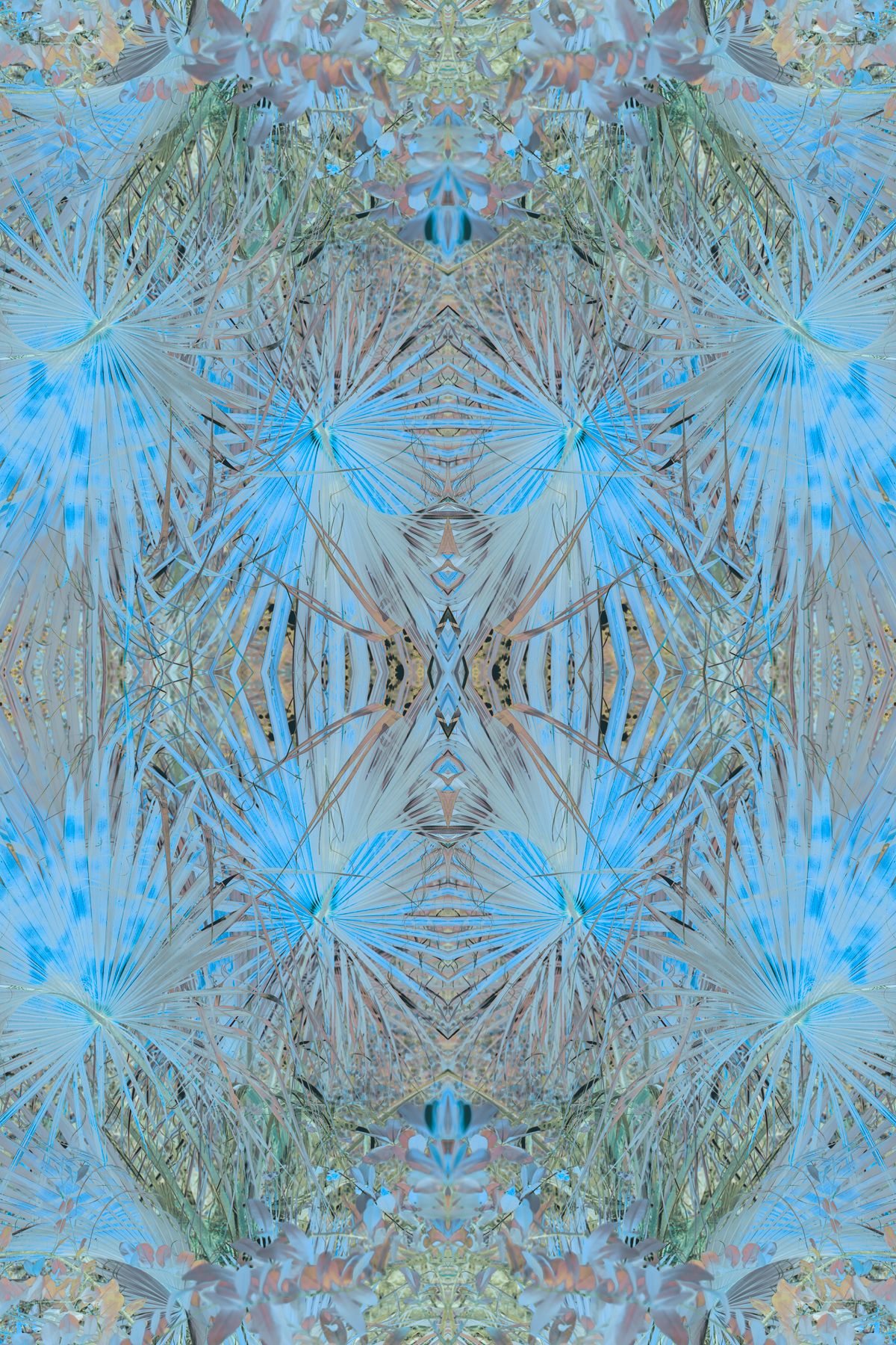 Christin-Paige-Minnotte_UNBREAKING SYMMETRY_A-Palm-Became-The-Sky-Became-a-Diamond-and-Learned-to-Fly_Copyright-2026.jpg