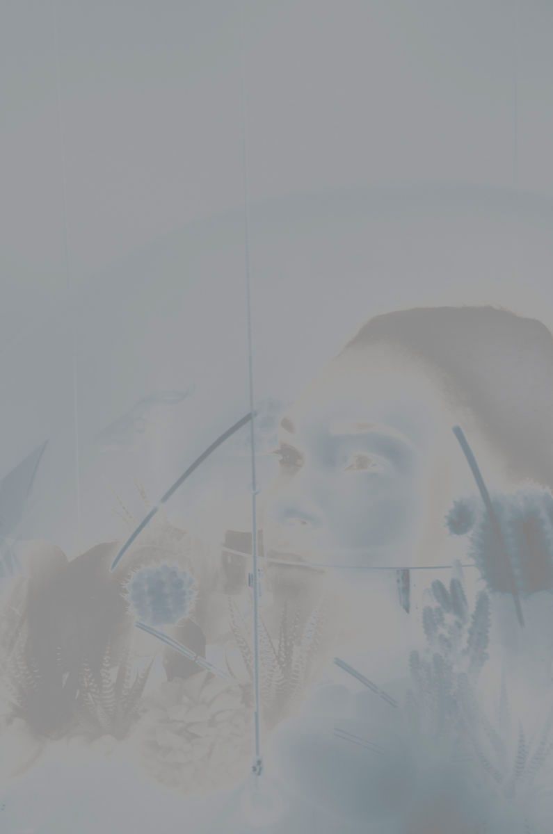 1r140118_plant_the_future_christin_paige_minnotte__1443_blue.jpg