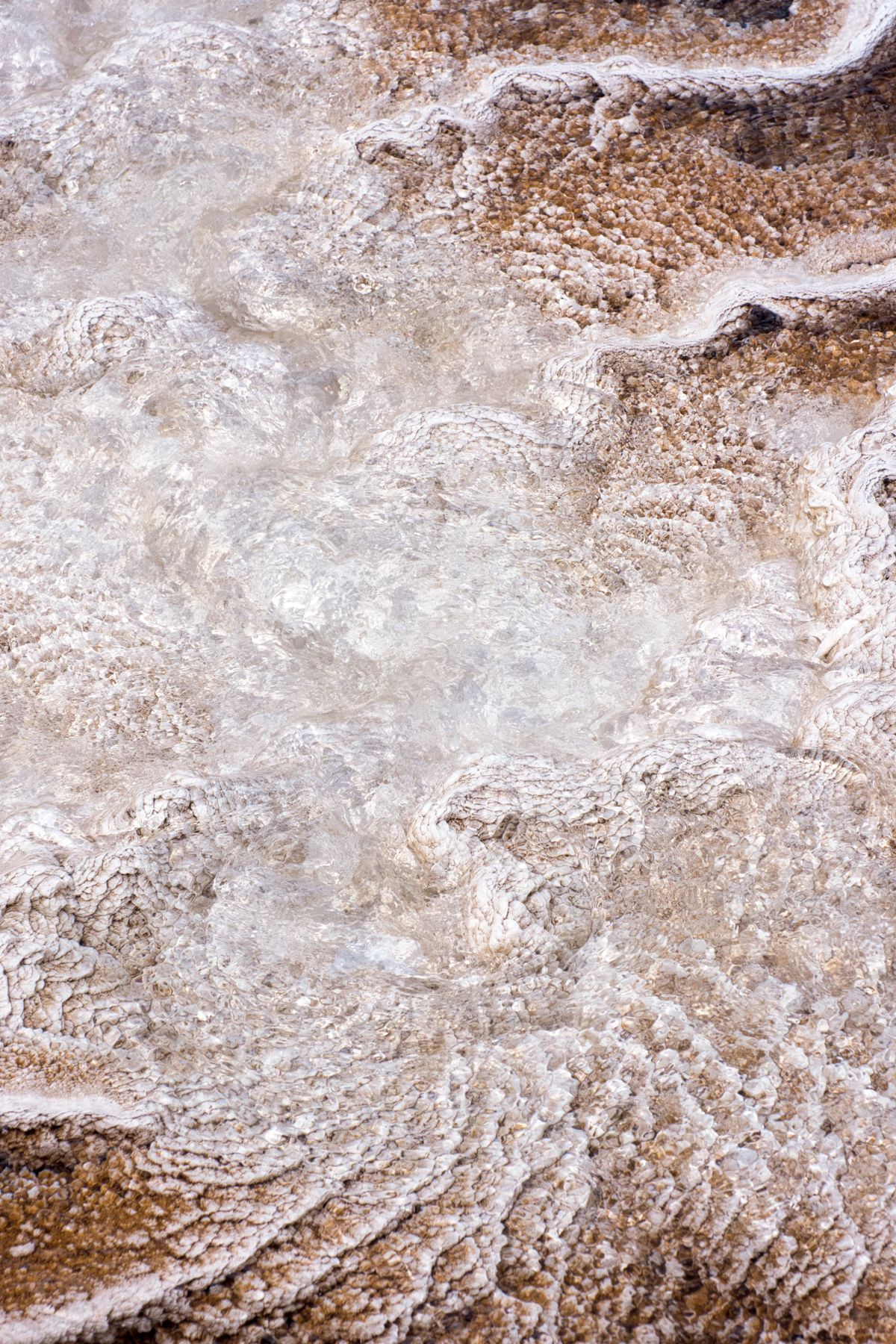 160623 VOTW Christin Paige Minnotte-4750-Edit copy-2.jpg