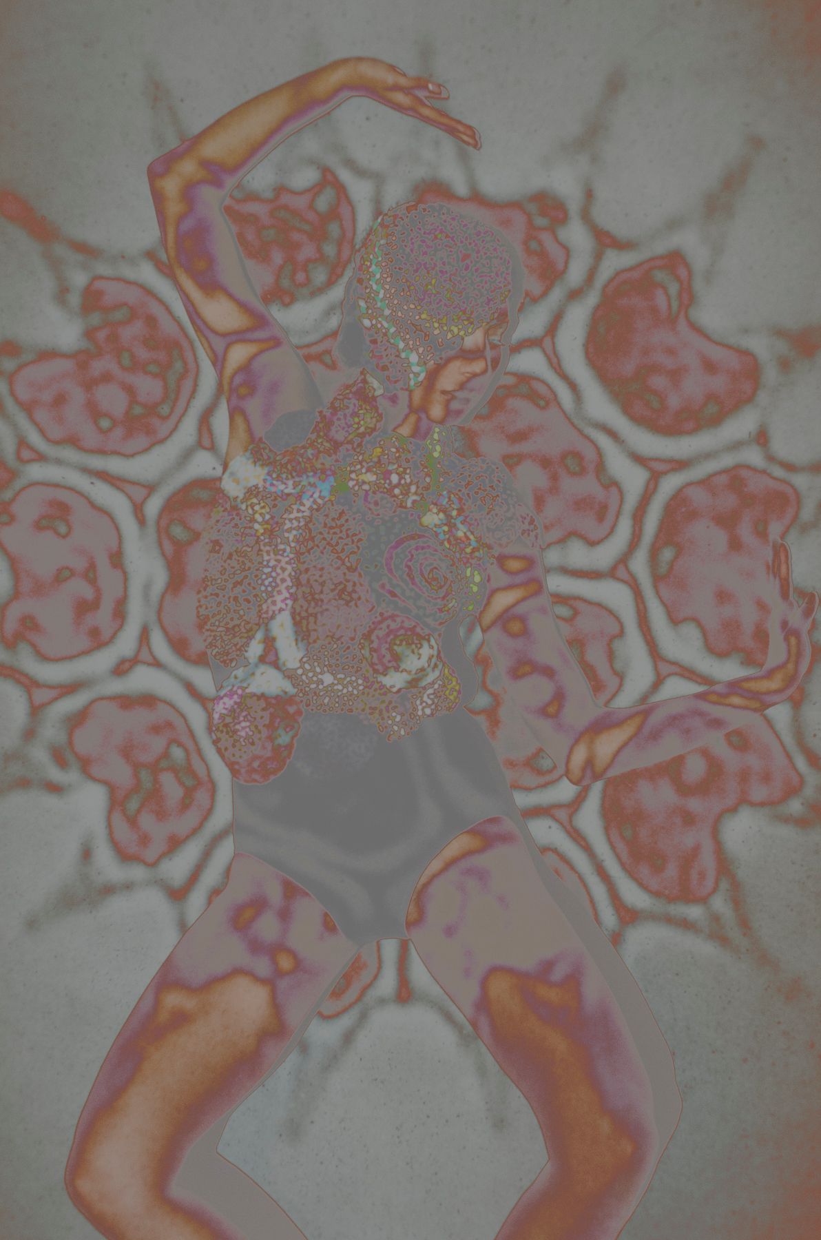 BIOLOGICAL SLIDES-3 Algae no 1 Christin Paige Minnotte.jpg