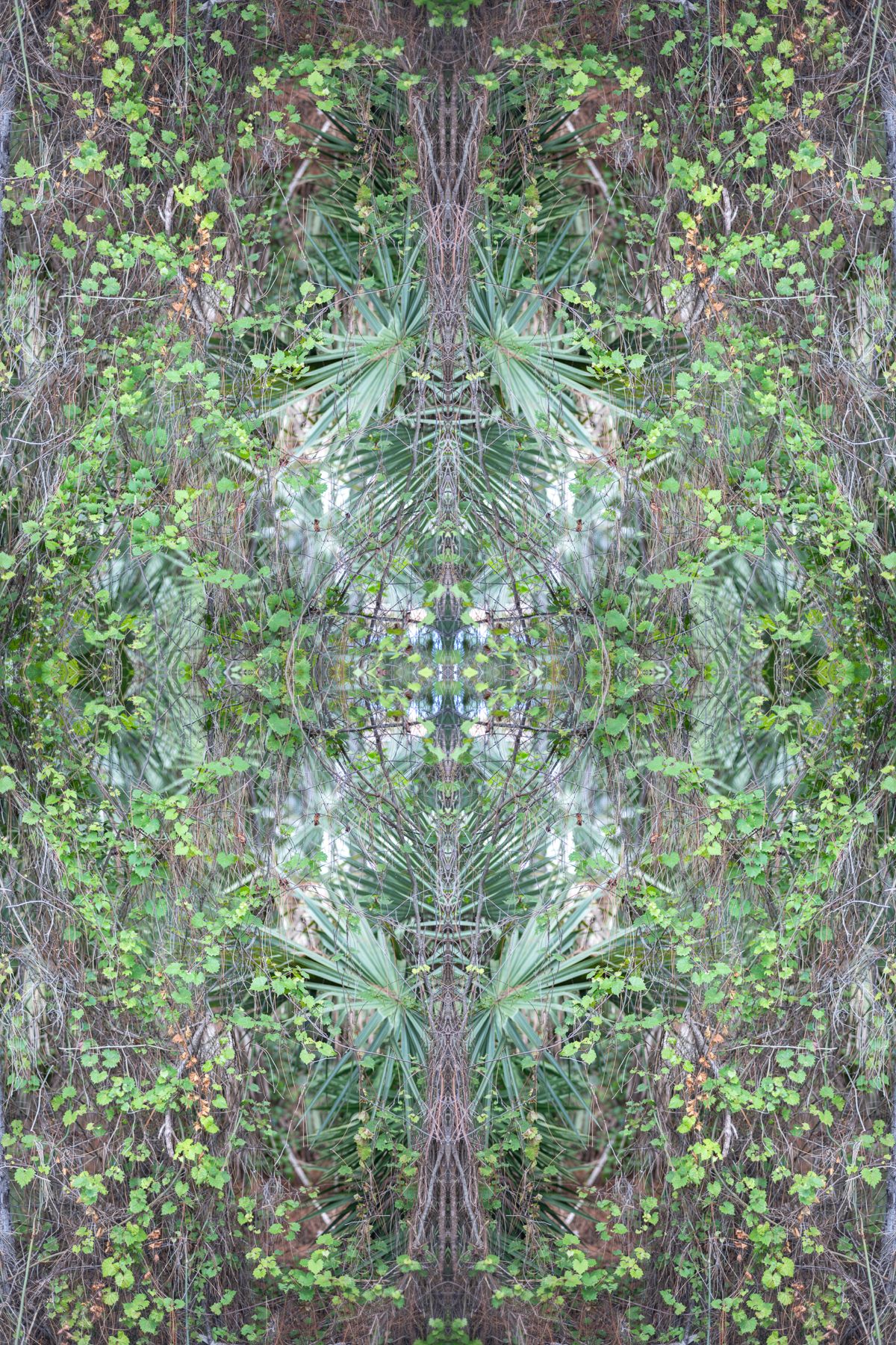 Christin-Paige-Minnotte_UNBREAKING SYMMETRY_Molecular-Mint_Copyright-2026.jpg