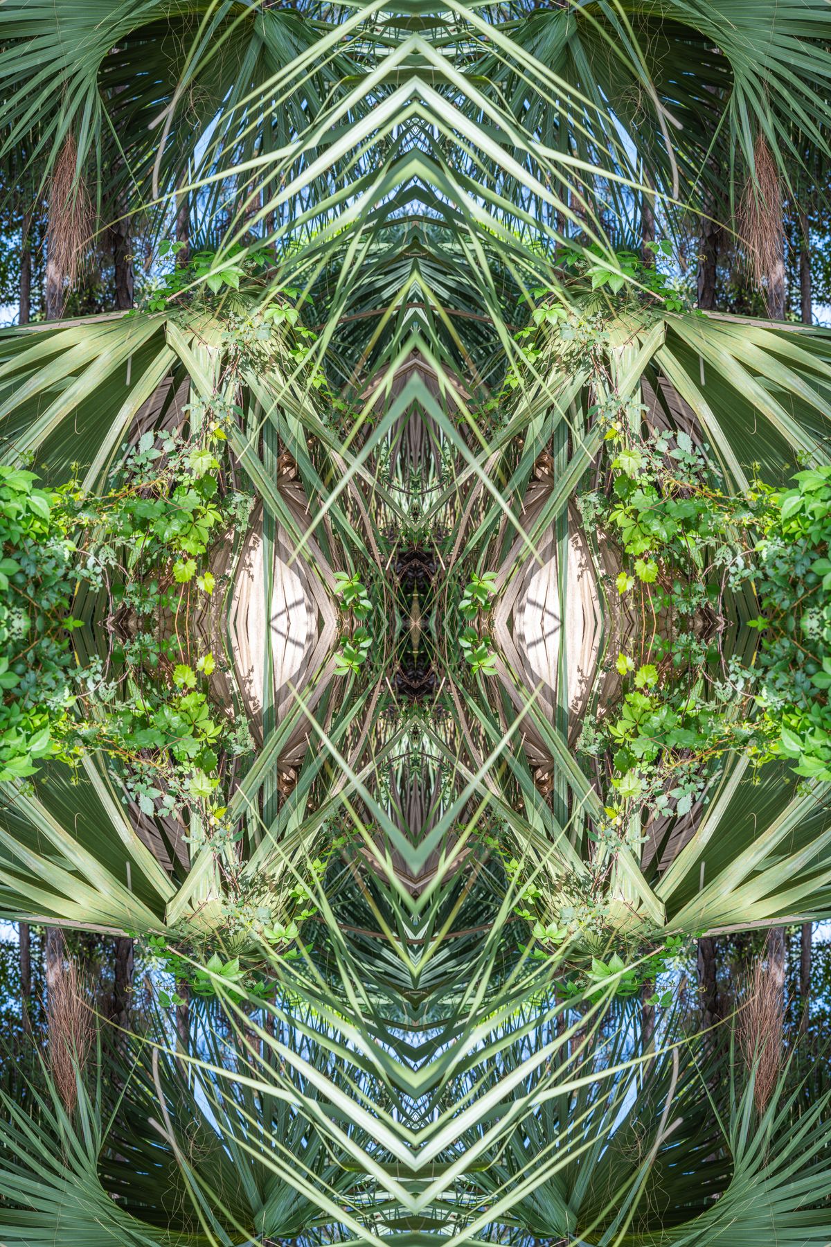 Christin Paige Minnotte_UNBREAKING-SYMMETRY_Copyright-2026_-12.jpg