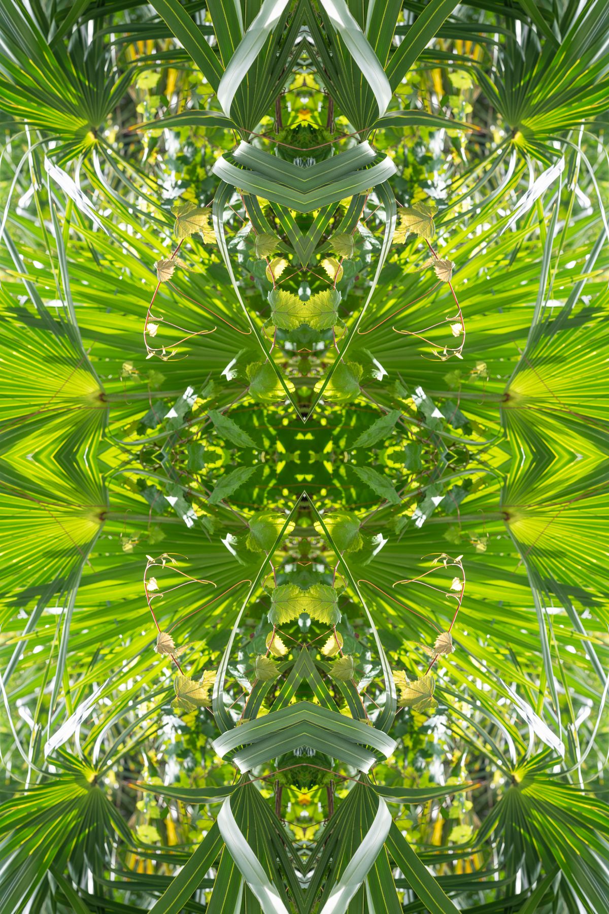 Christin Paige Minnotte_UNBREAKING-SYMMETRY_Copyright-2026_-10.jpg
