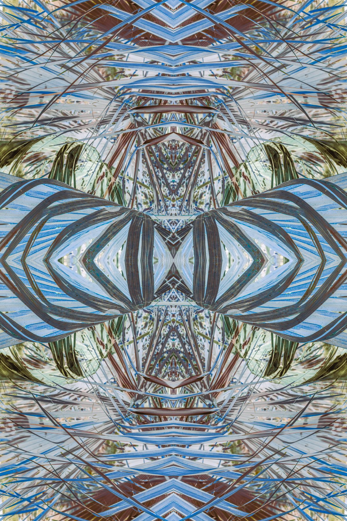 Christin-Paige-Minnotte_UNBREAKING SYMMETRY_Barrel-Tube-Of-Jungle-Wind_Copyright-2026.jpg