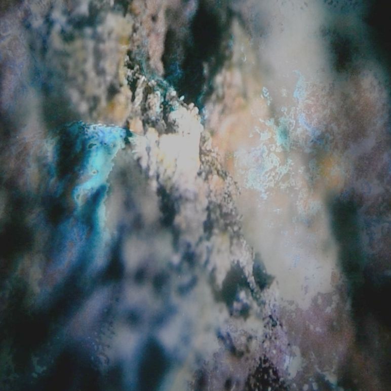 Perlumina-light-art-installation-still-mycelial-wave-Christin-Paige-Minnotte-Square.jpg