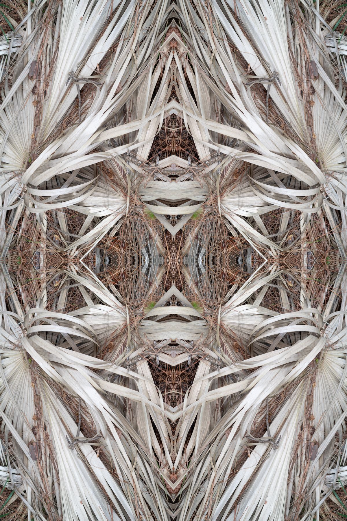 Christin-Paige-Minnotte_UNBREAKING SYMMETRY_Creation-Is-Circular-Altrusim_Copyright-2026.jpg