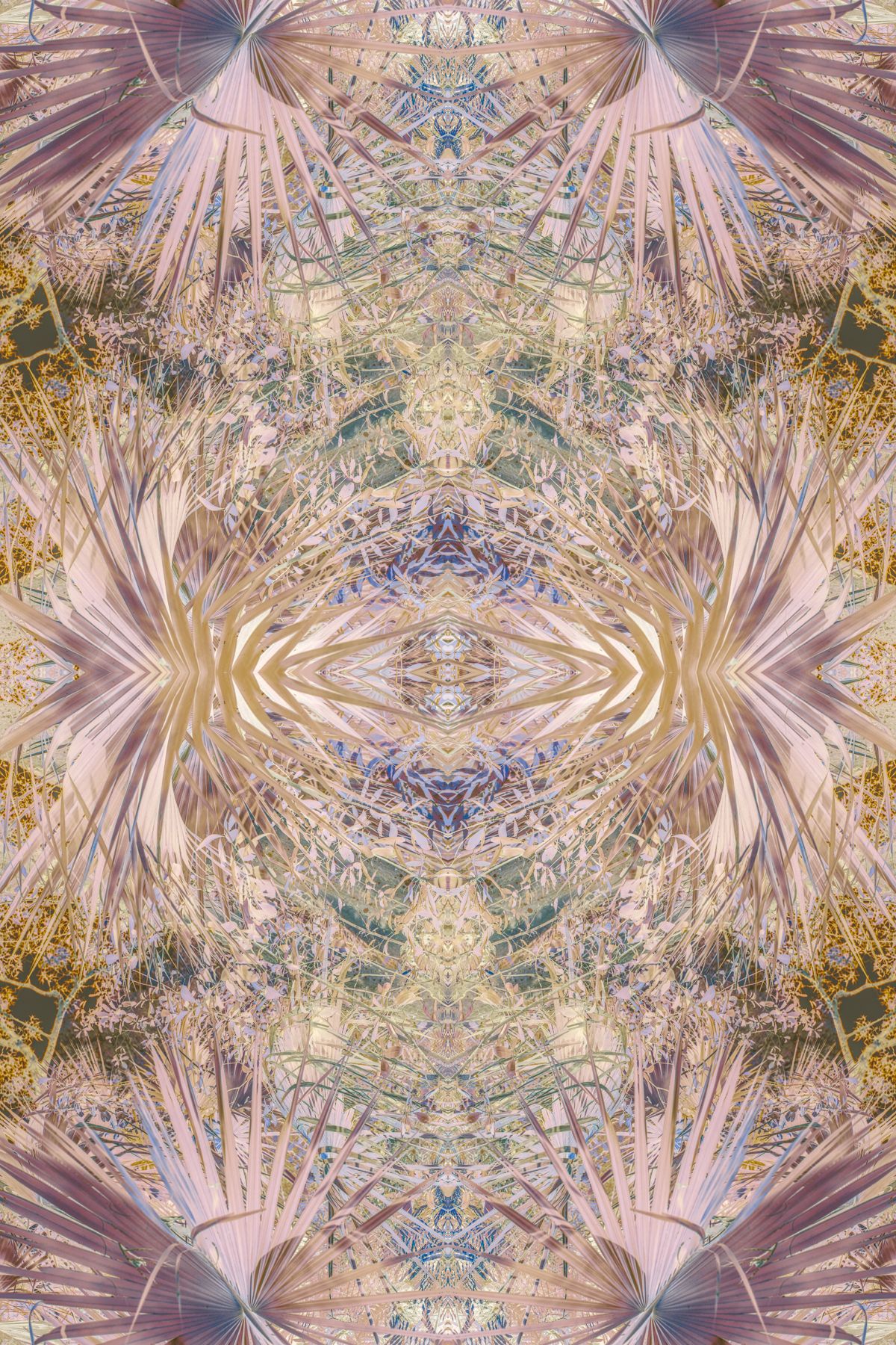 Christin-Paige-Minnotte_UNBREAKING SYMMETRY_Palm-Rose-Resonance_Copyright-2026.jpg