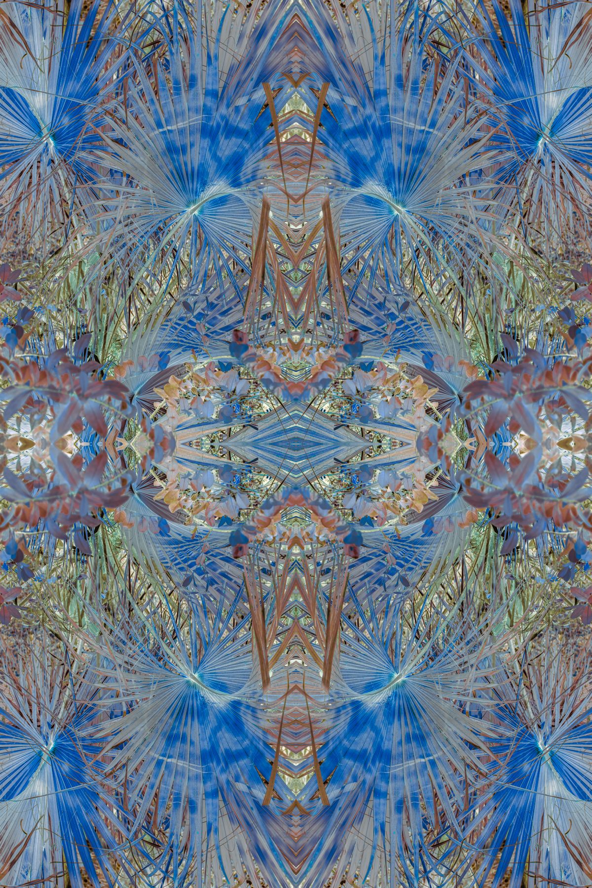 Christin-Paige-Minnotte_UNBREAKING SYMMETRY_How-the-Grasshopper-Saw-the-Birth-of-the-World_Copyright-2026.jpg