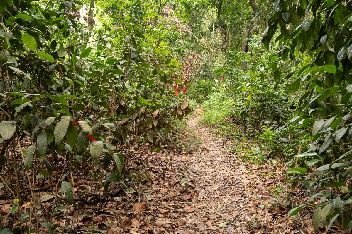 Pathway between Nest Room and Movement Room