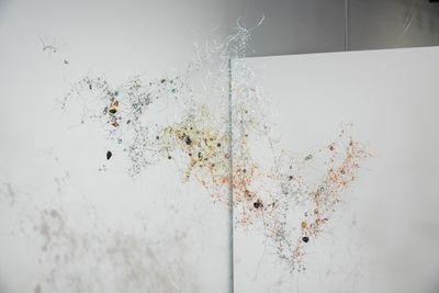 Lisa C Soto MOLAA_7.jpg