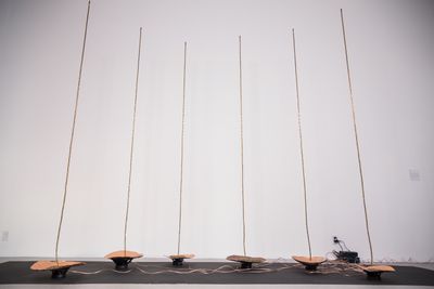 Lisa C Soto Gravity of our Locus 16.jpg