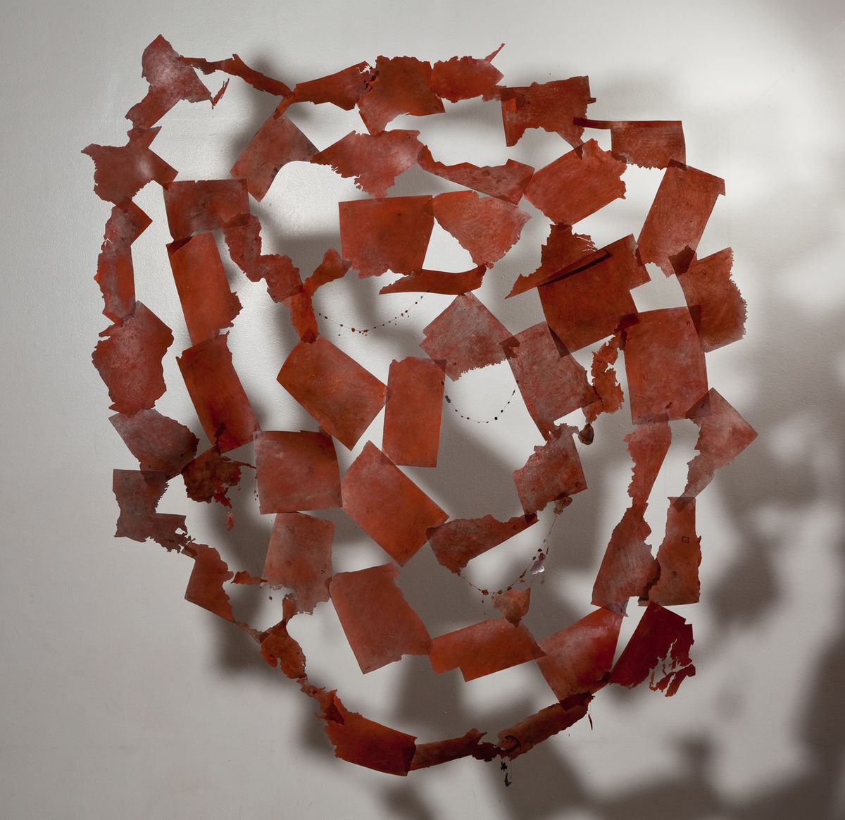 U.S. & Territories.jpg