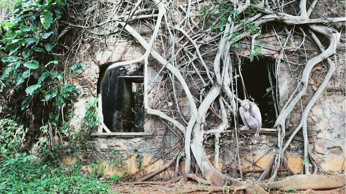 Yo, como la gameleira (video still).jpg