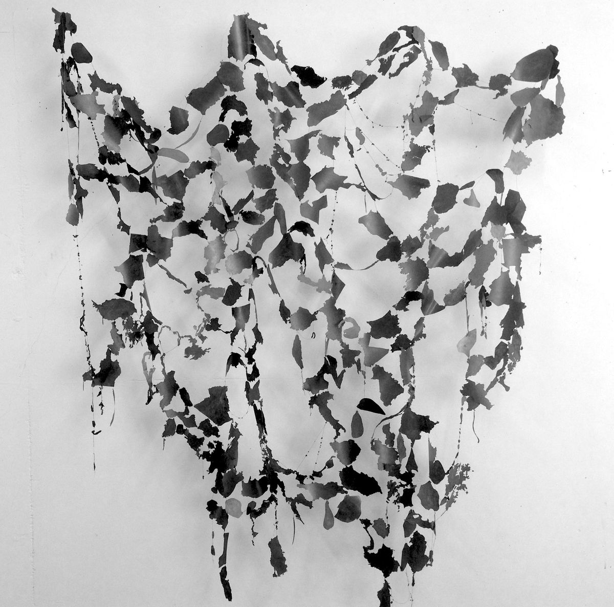  Countries, Territories, Islands