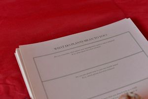 Questionnaire: What do plants mean to you?