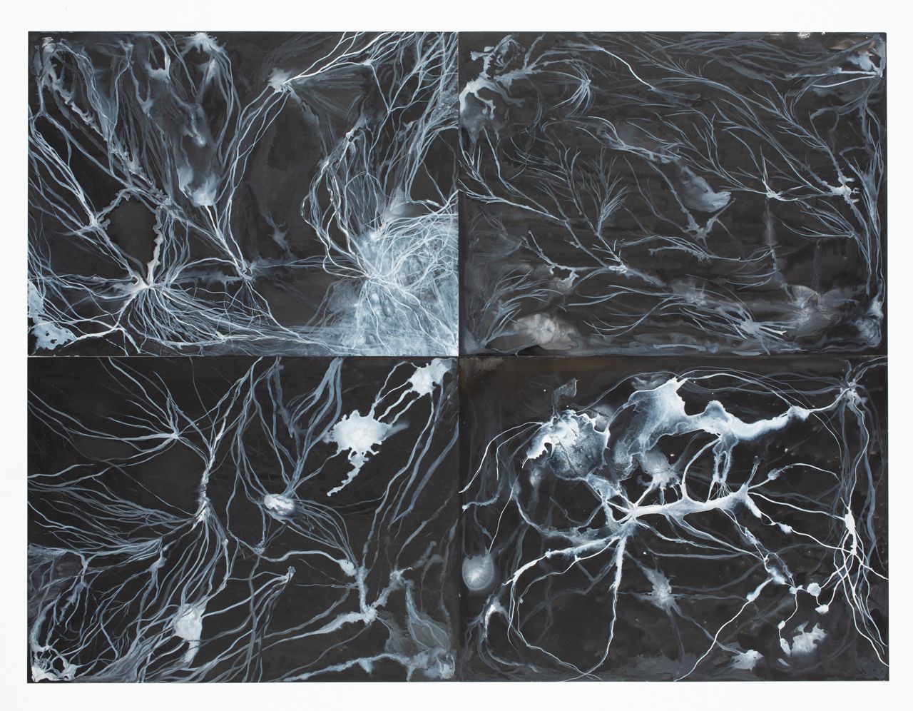 Mycelium set 